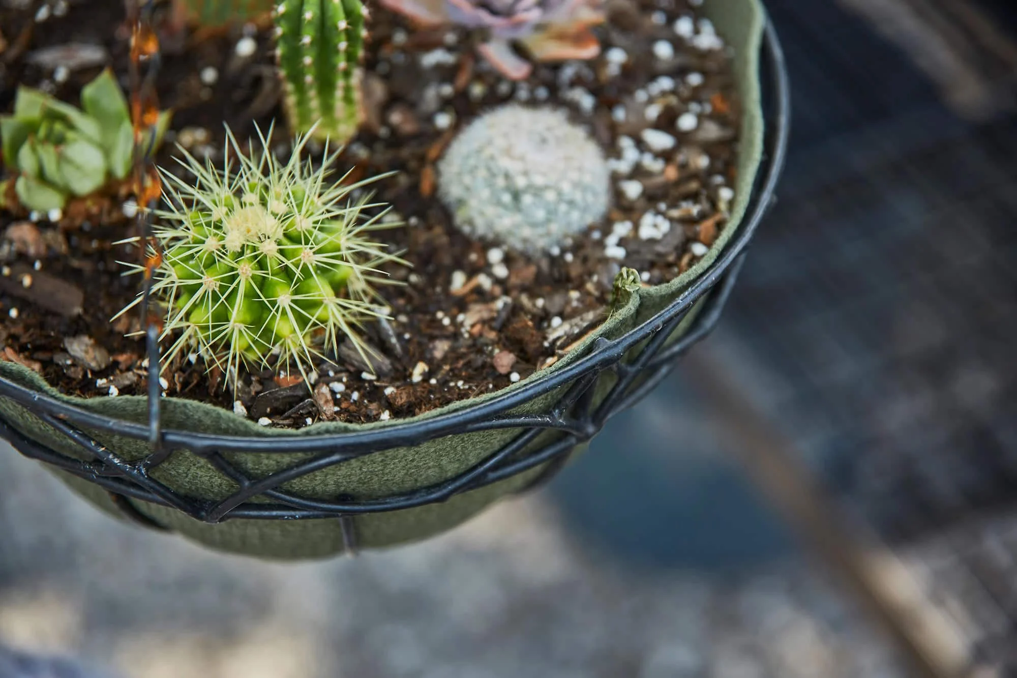 SMART POT NoCoco Liner 12