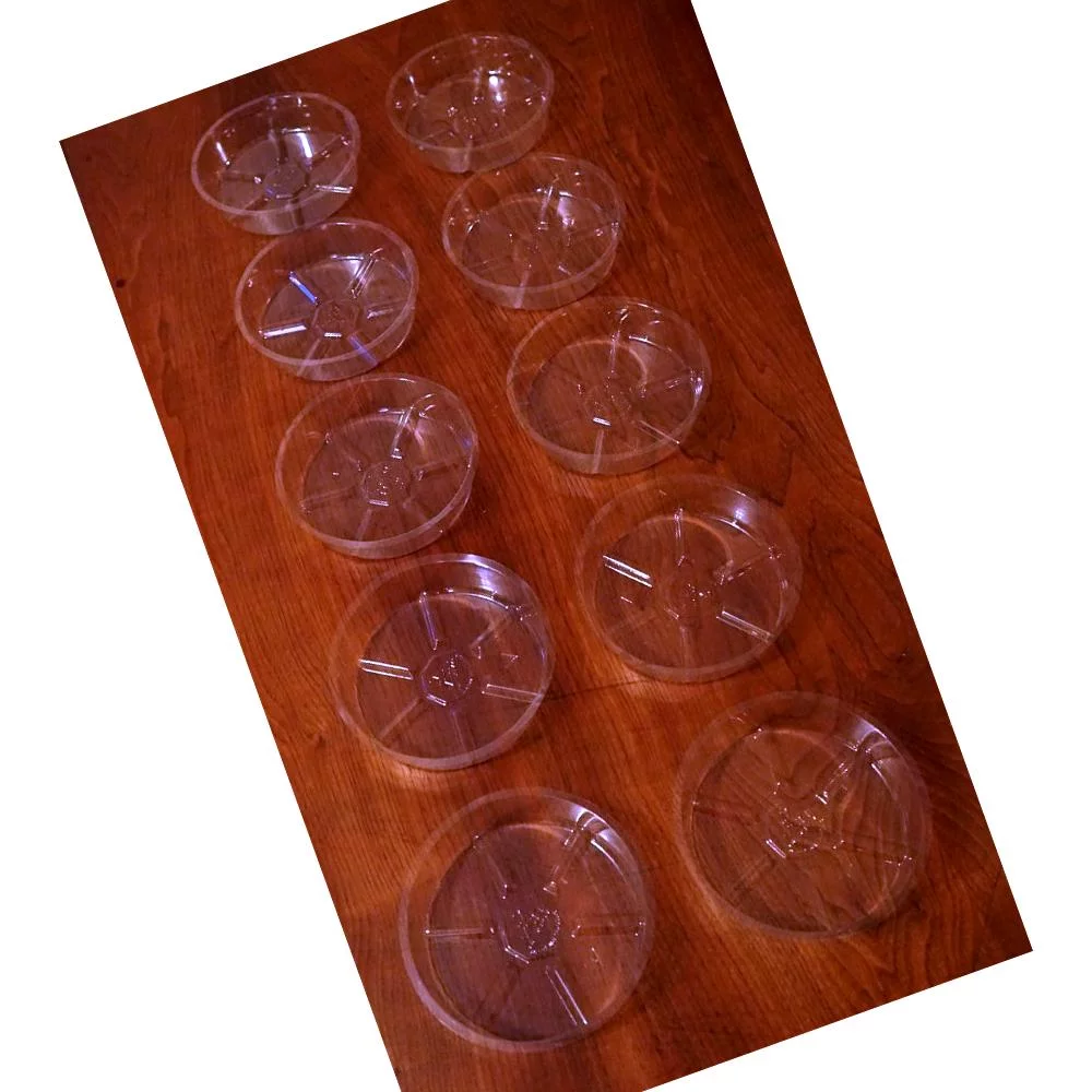 Plant Saucers (10 Pack) Clear Plastic 6 Inch for Indoor/Outdoor Garden