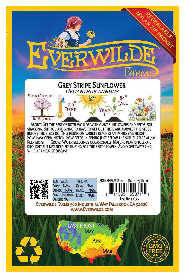 Everwilde Farms - 25 Grey Stripe Sunflower Garden Flower Seeds - Gold Vault Jumbo Bulk Seed Packet