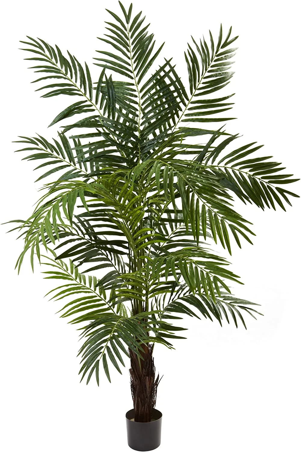 HYUN 6ft. Areca Palm Tree