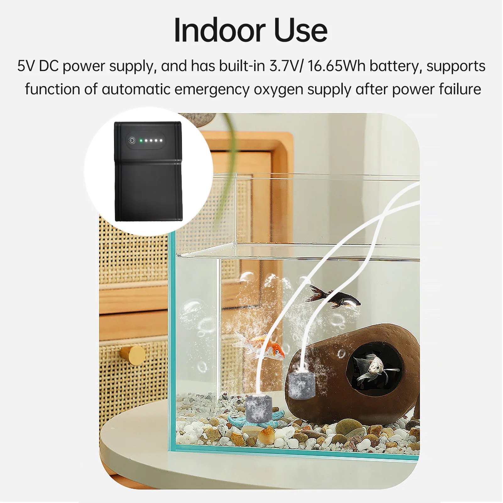 OWSOO Oxygenation pump,5W/6V Solar Powered Bubble Stones Tank Aerator Solar Pump 2 Modes Fish Tank Pump Kit Fish Solar Pipe/ 2 Solar / 2 Air Pump 2 Air Bubble Maiju Panel/Ox mewmewcat