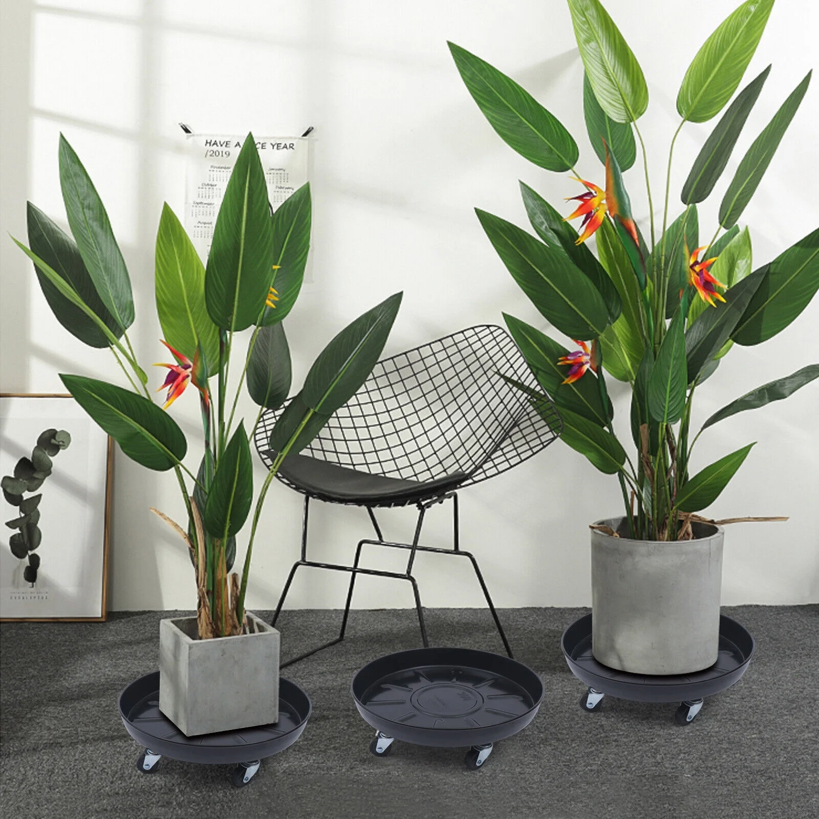 Miumaeov 3Pcs Flower Pot Tray Heavy Duty Plant Dolly Planter Mover Stand Round Plate with Wheels