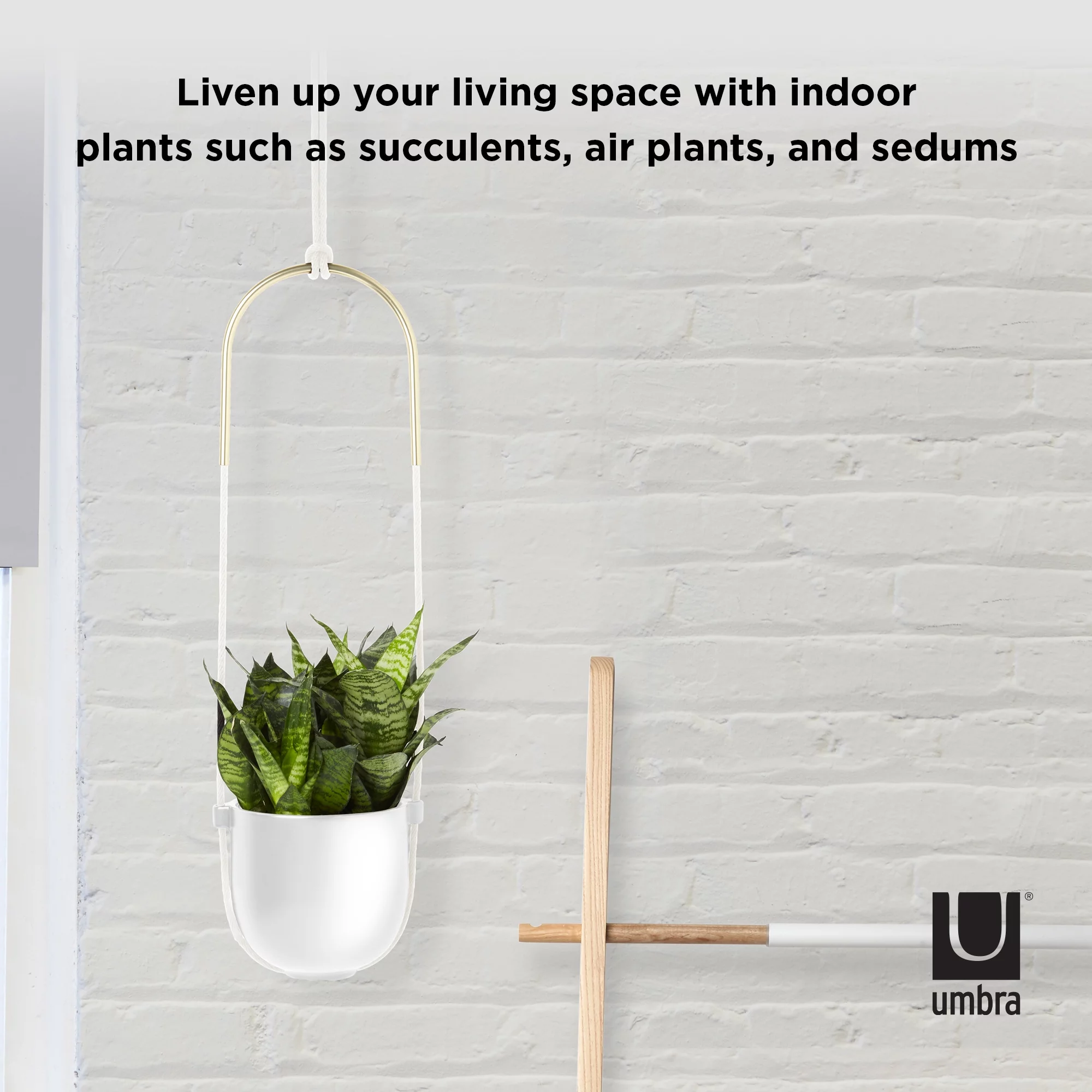 Umbra Bolo Ceramic Hanging Wall Planter White