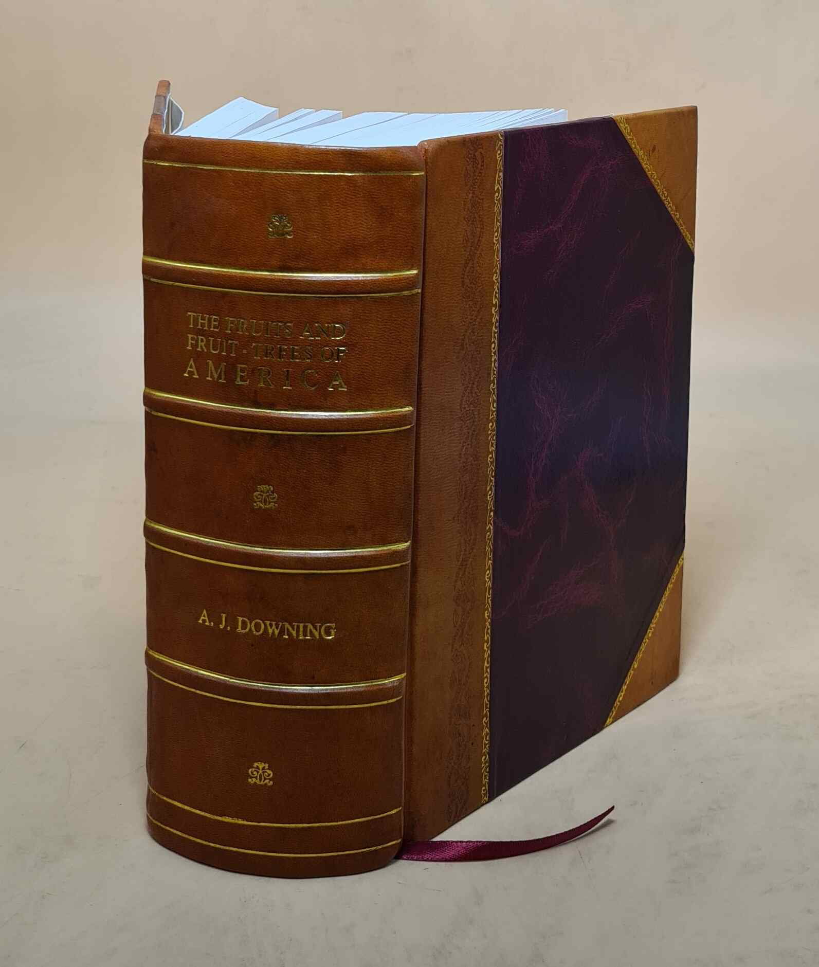 The fruits and fruit-trees of America, or, The culture, propagat [Leather Bound]