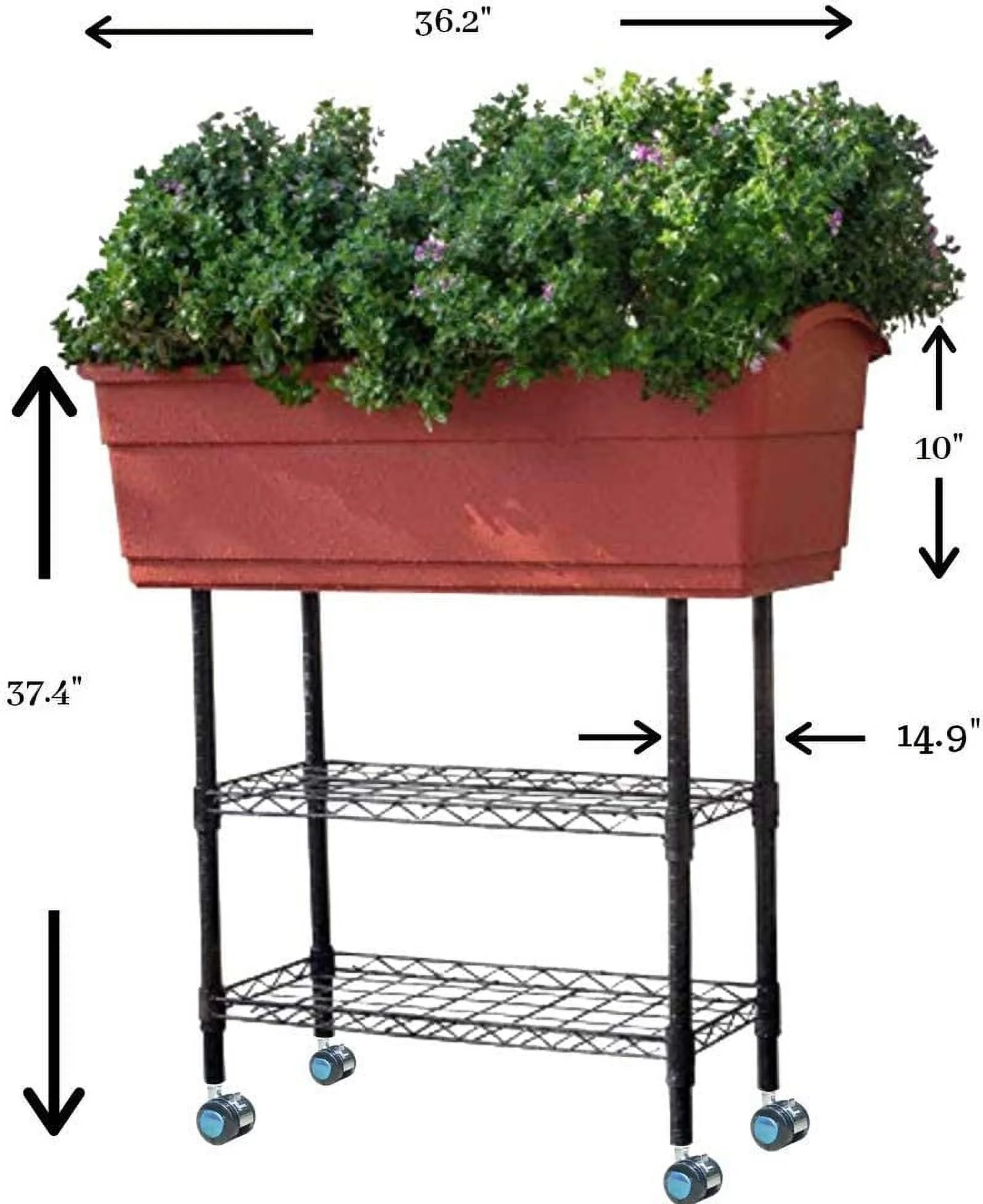 WX163 Mobile Elevated Garden Bed (Terra Cotta), Indoor Gardening, Self-Watering, Extra Large Planter, 36 Inches, BPA Planter