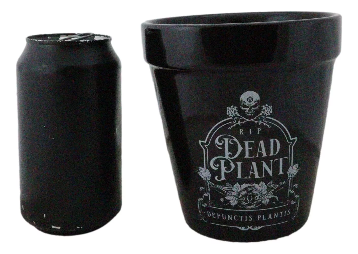 Dead Plant RIP Skull Grave Tombstone Wicca Witch Flower Herbs Planter Pot