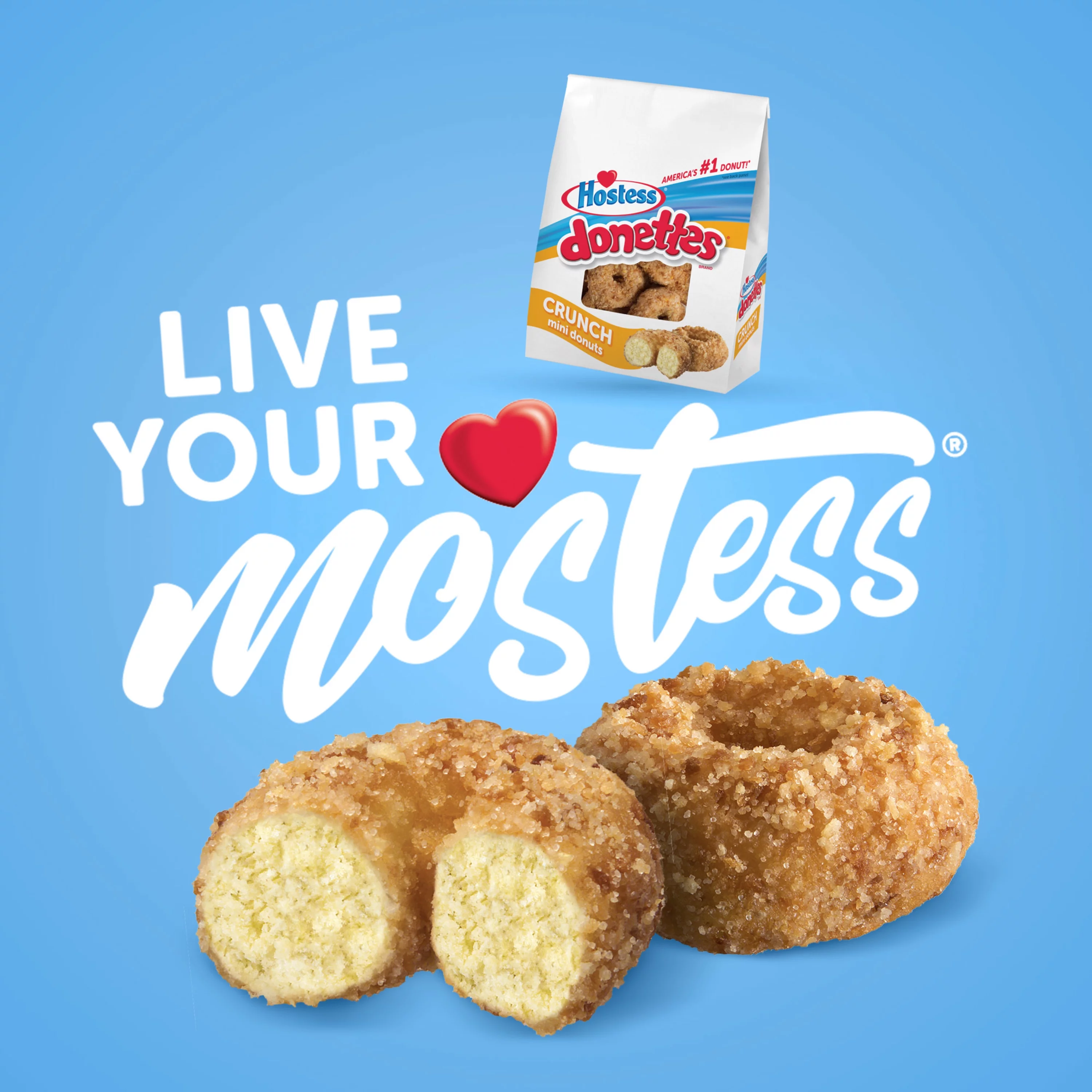 HOSTESS Crunch DONETTES, Sweet Coconut Crunch, 9.5 oz