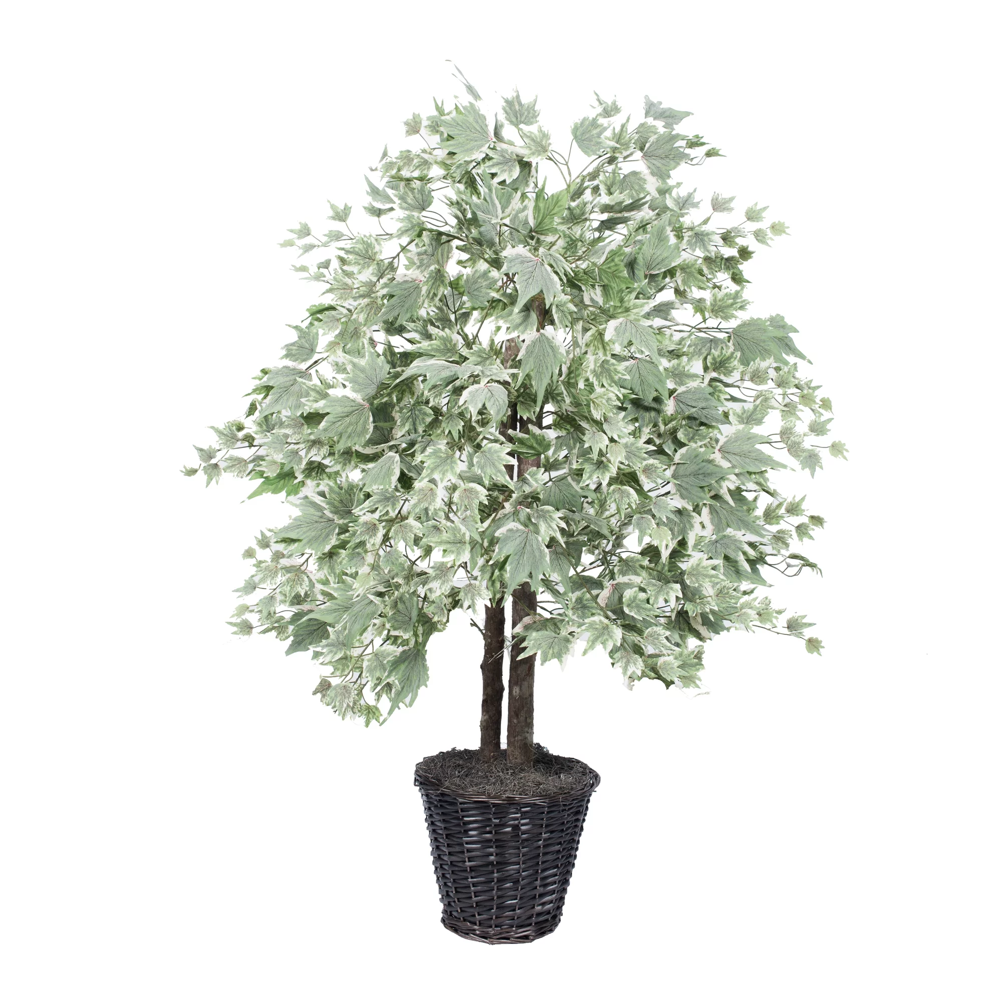 Vickerman Everyday 4' Artificial Silver Maple Bush In A Rattan Basket - Realistic Indoor Greenery Decor - Faux Potted Decoration For Home Or Office Accent