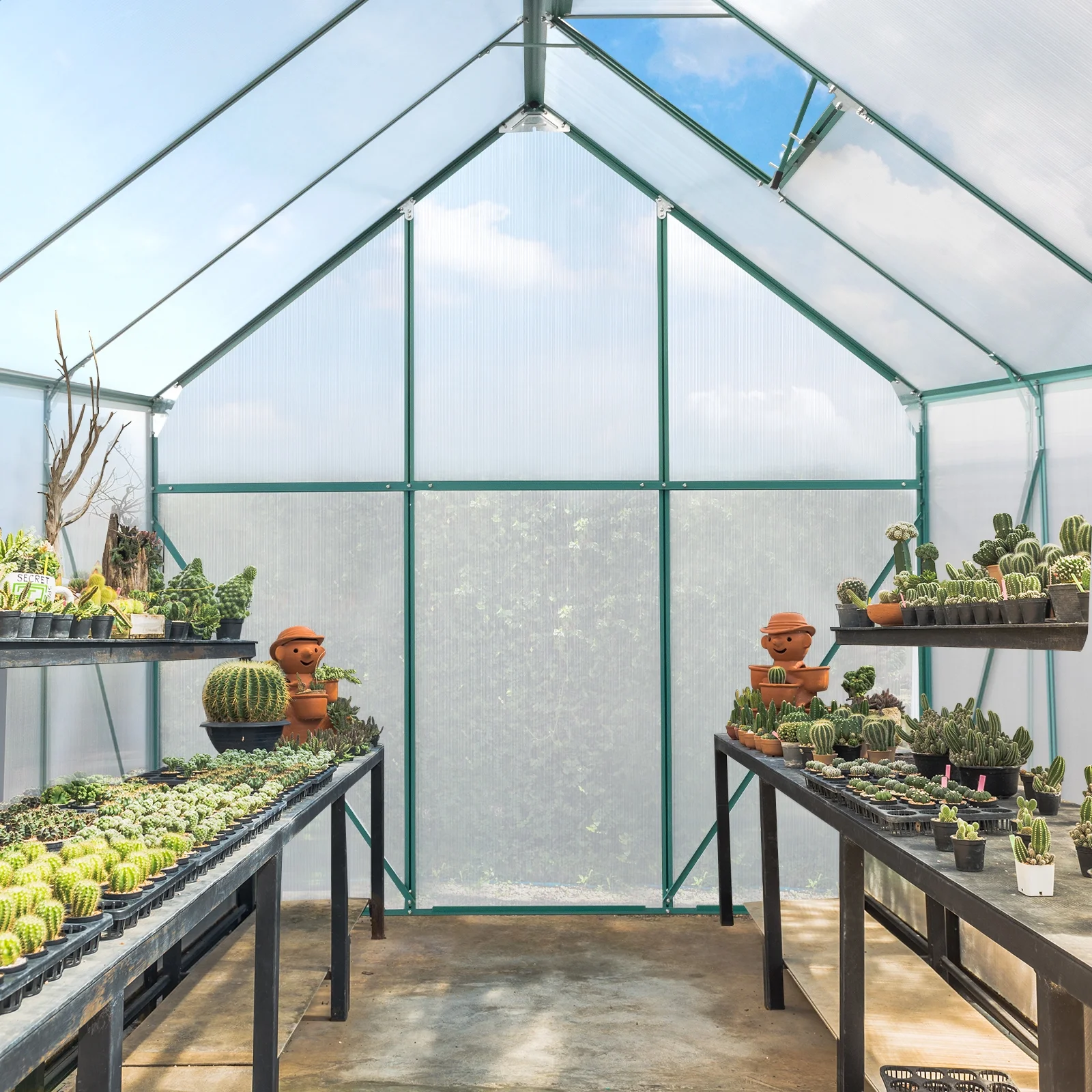 6x8 Hybrid Polycarbonate Greenhouse Green
