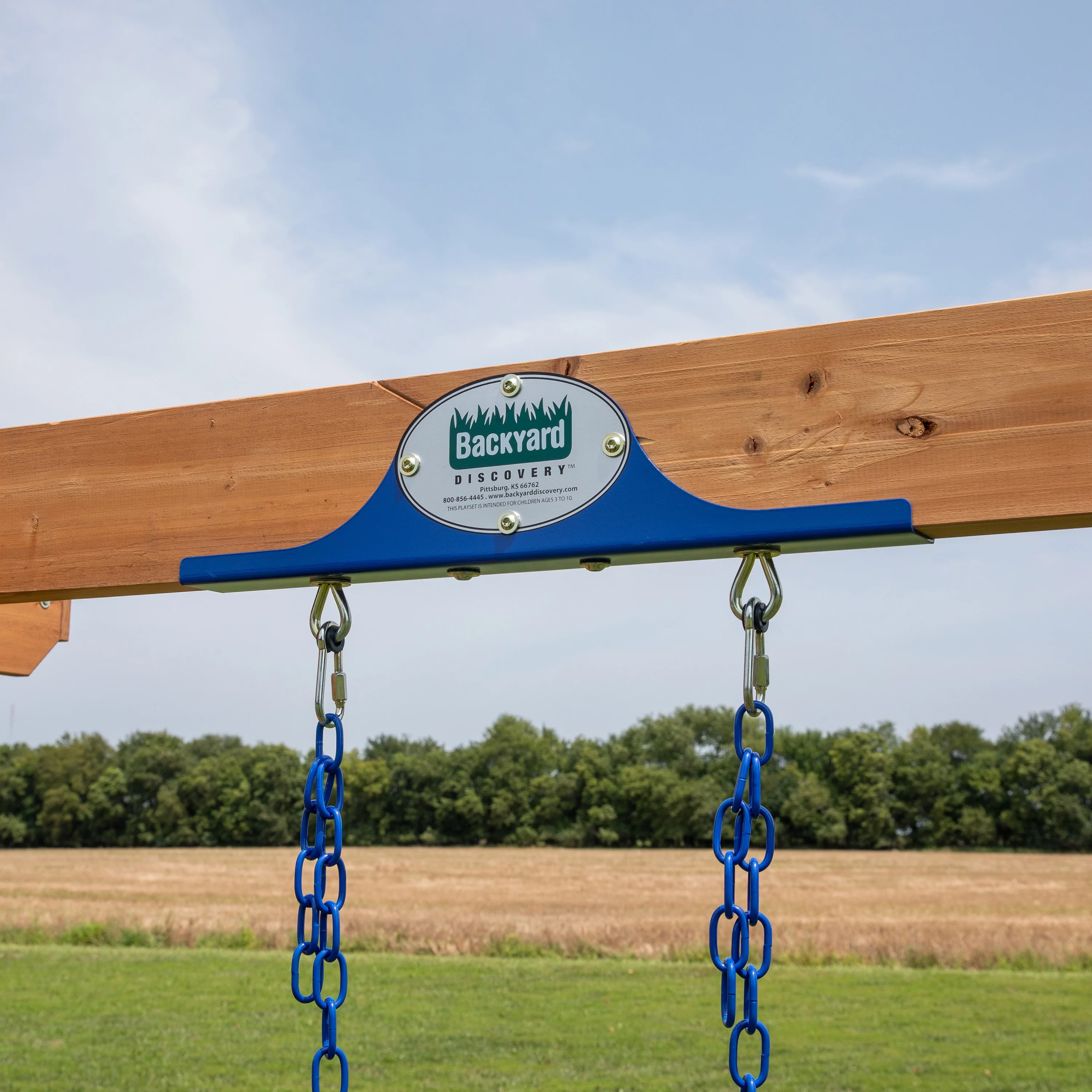 Backyard Discovery Briarcliff Swing Set