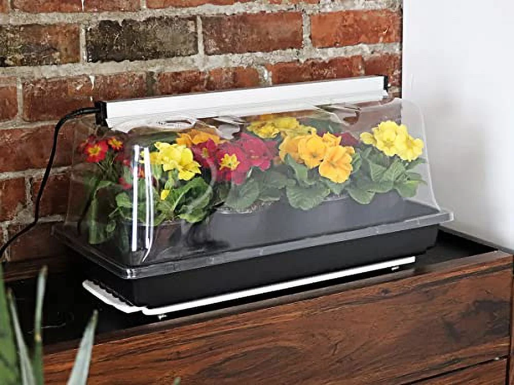 Mini Greenhouse Kit, Black (1600205)