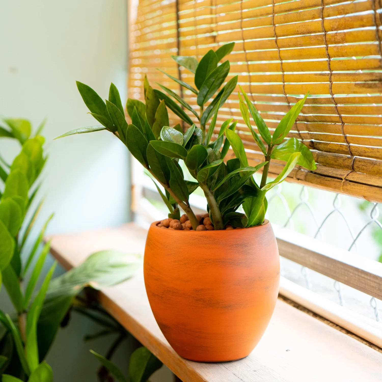 YLtoohoom Smart Self-watering Round Planter Pot for Indoor and Outdoor - Terracotta Painted