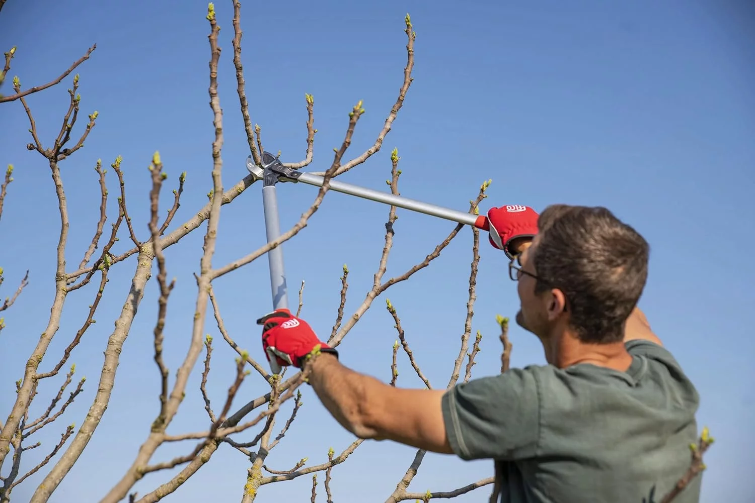 F231 231, Two-Handed, Lever-Action, Long Lopper, Style, Anvil Curved Blade, Red/Gray