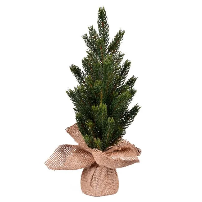 15 in. Balsam Fir Sapling Tree Burlap - 2 Piece