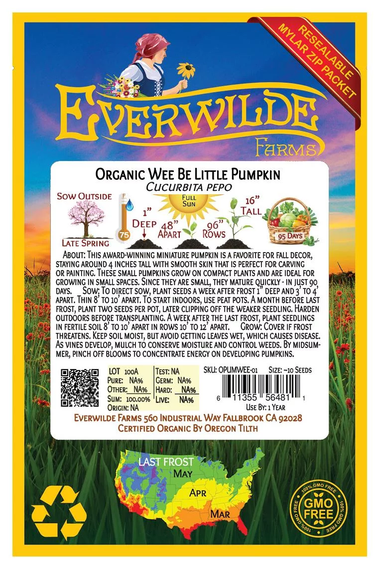 Everwilde Farms - 10 Organic Wee Be Little Pumpkin Seeds - Gold Vault Jumbo Bulk Seed Packet