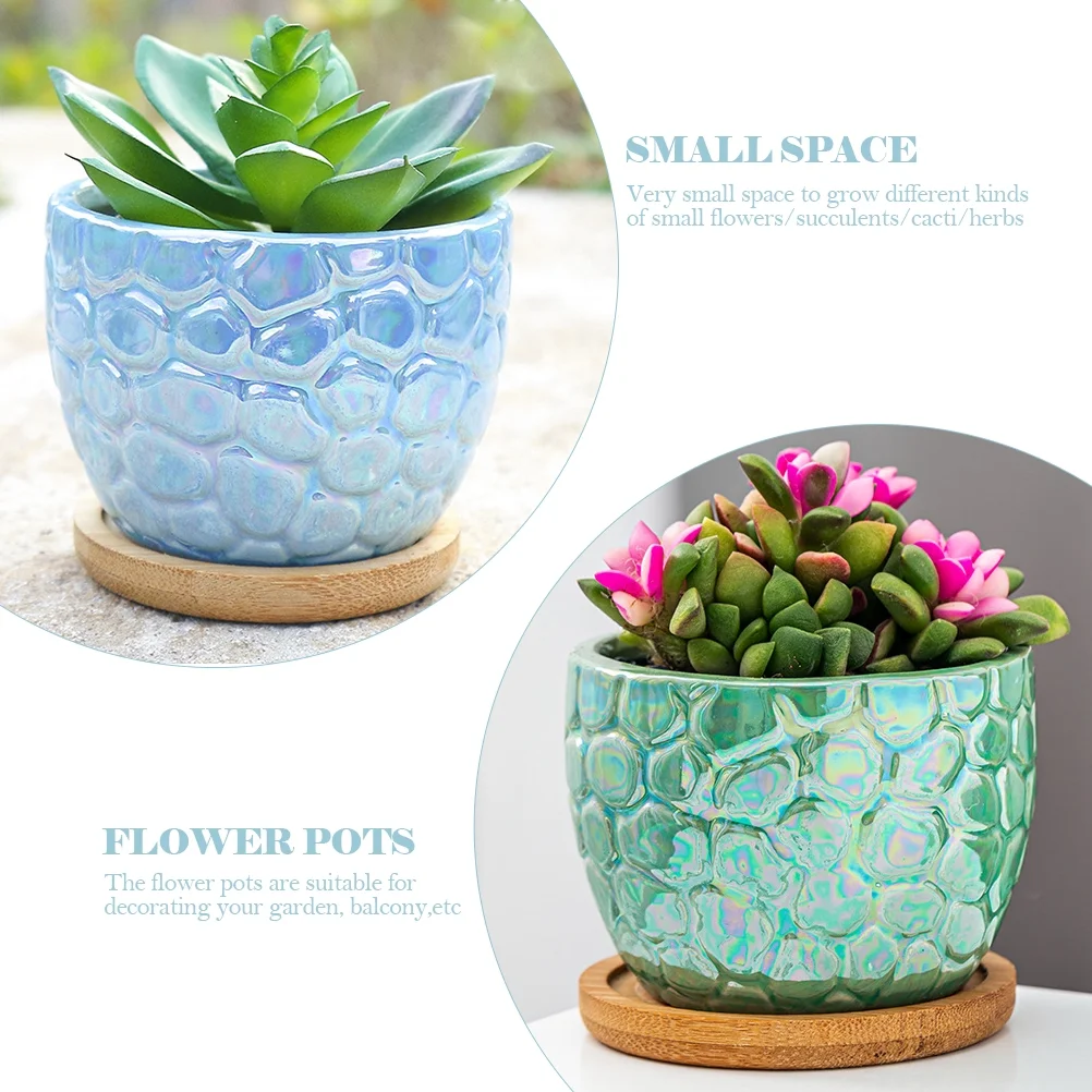 2 Sets Marble Flower Pot Succulent Containers Plant Pots for Plants Vessel Small Planter Indoor Planting