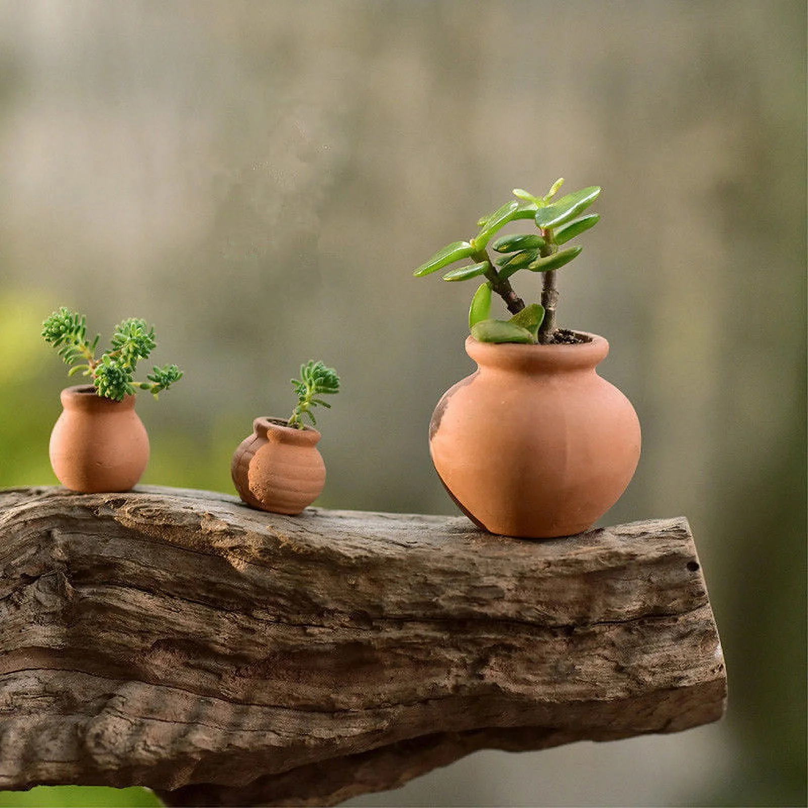 2pcs Mini Flower Pots Clay Plant Pot for Planter Wedding Decoration Craft