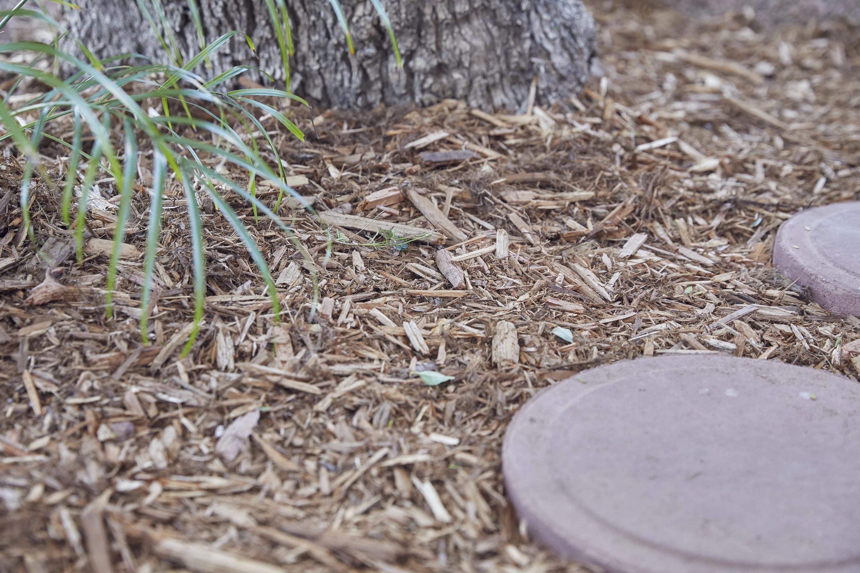 2CF American Countryside Brown Cypress Blend Mulch