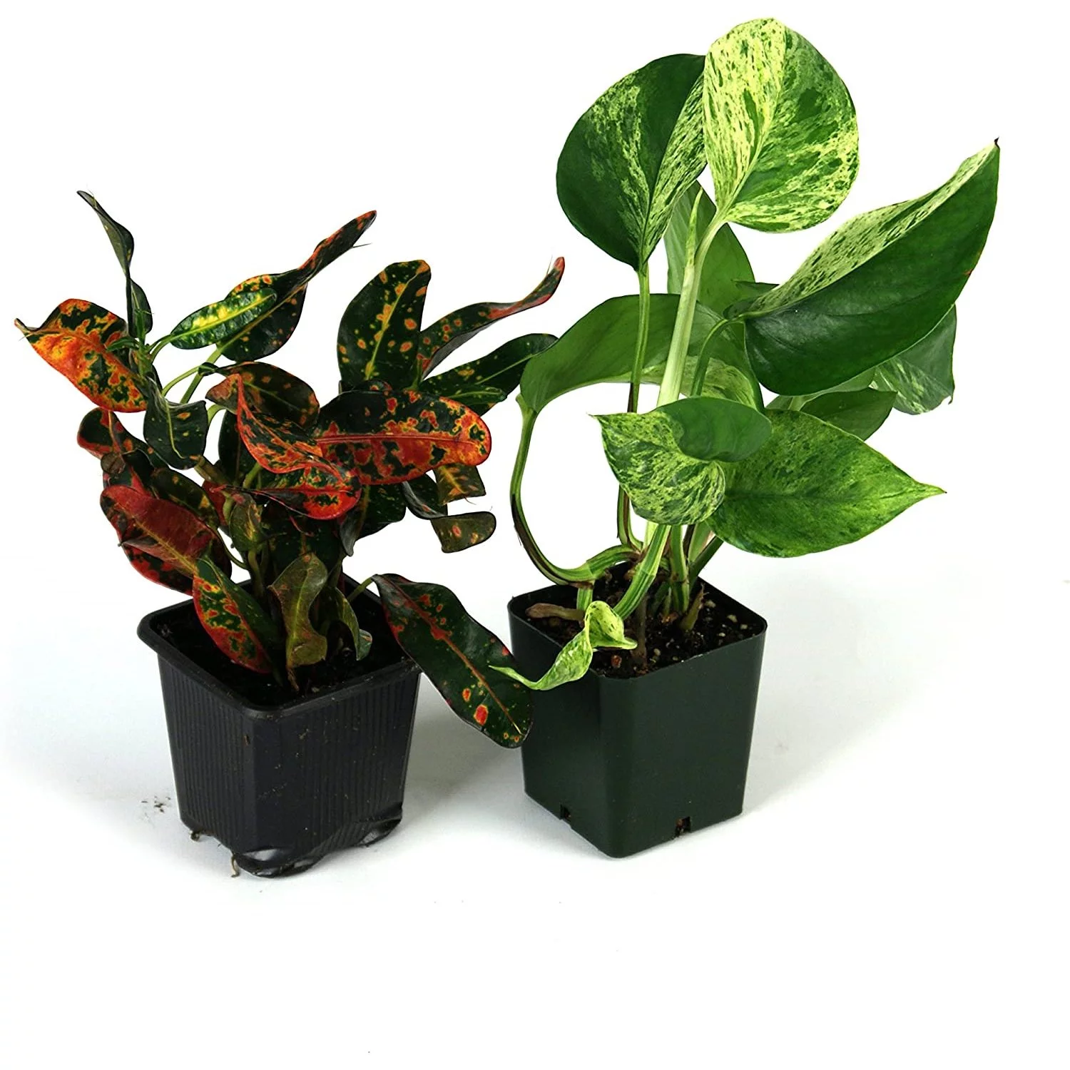 LPFEP Outdoor Garden Park Chair Patio Metal Single Seater Bench, Steel Frame Furniture with Backrest and Armrests for Porch Yard Lawn Deck, Red