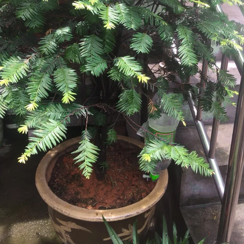 Automatic Watering Spikes Home Garden Flower Pot Self-watering Irrigation System Slow Release, 10pcs