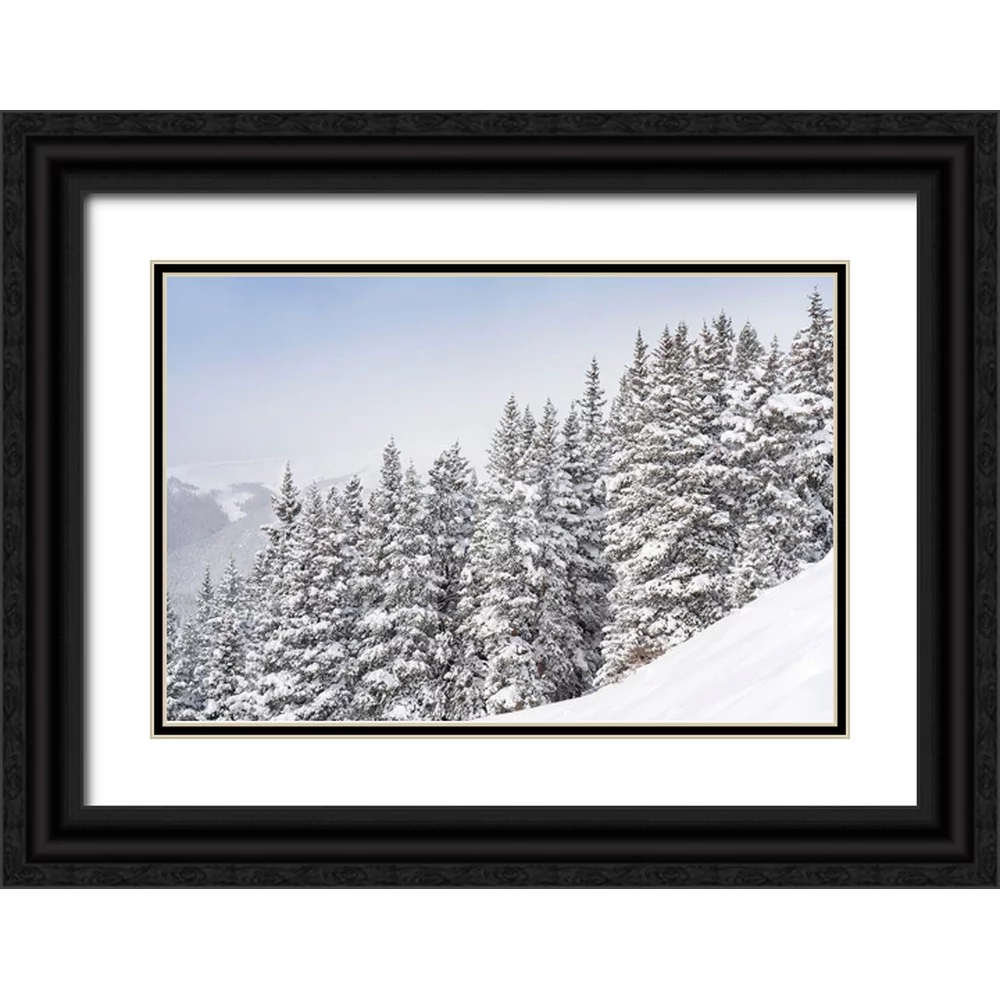 Jaynes Gallery 24x17 Black Ornate Wood Framed with Double Matting Museum Art Print Titled - Colorado Fresh snow on spruce trees