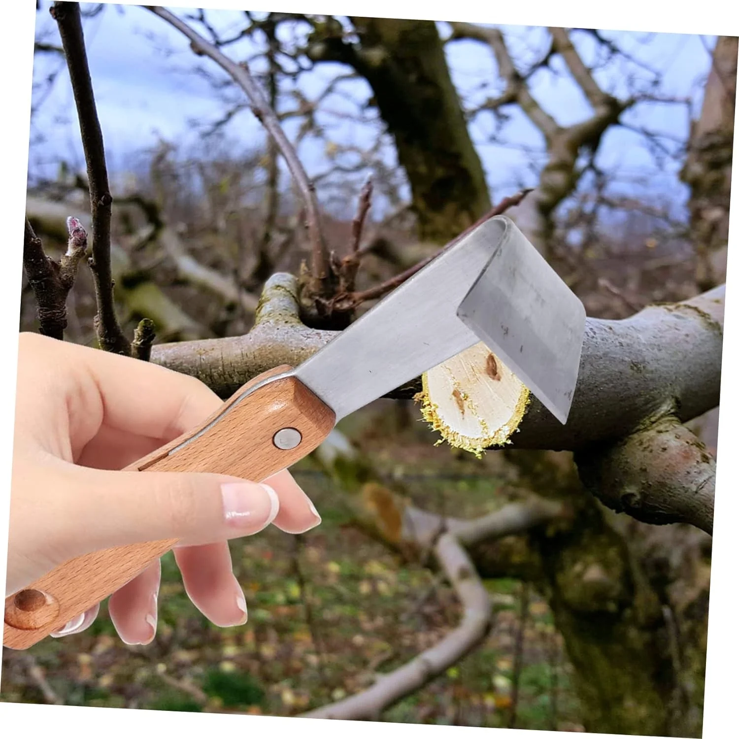 Must-Have Efficient High-Quality 6-Piece Professional Gardening Hand Knives Set for Precision Branch Trimming - Durable and Handy Scraping Tool for Perfect Branch and Fruit Cutting - Esse