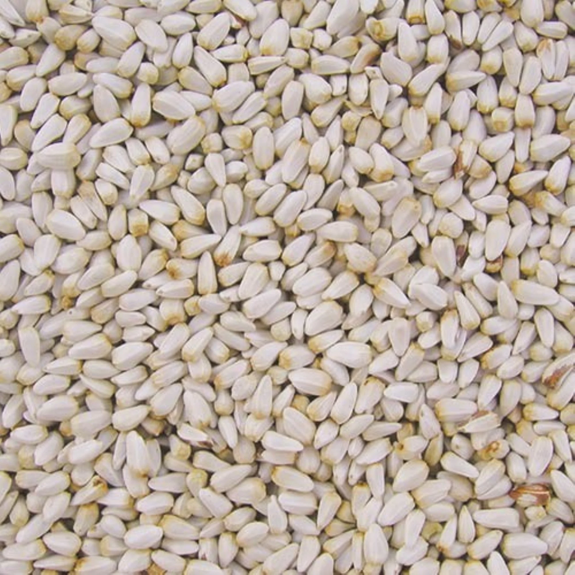 SAFFLOWER BIRD SEED 10# (Pack of 1)