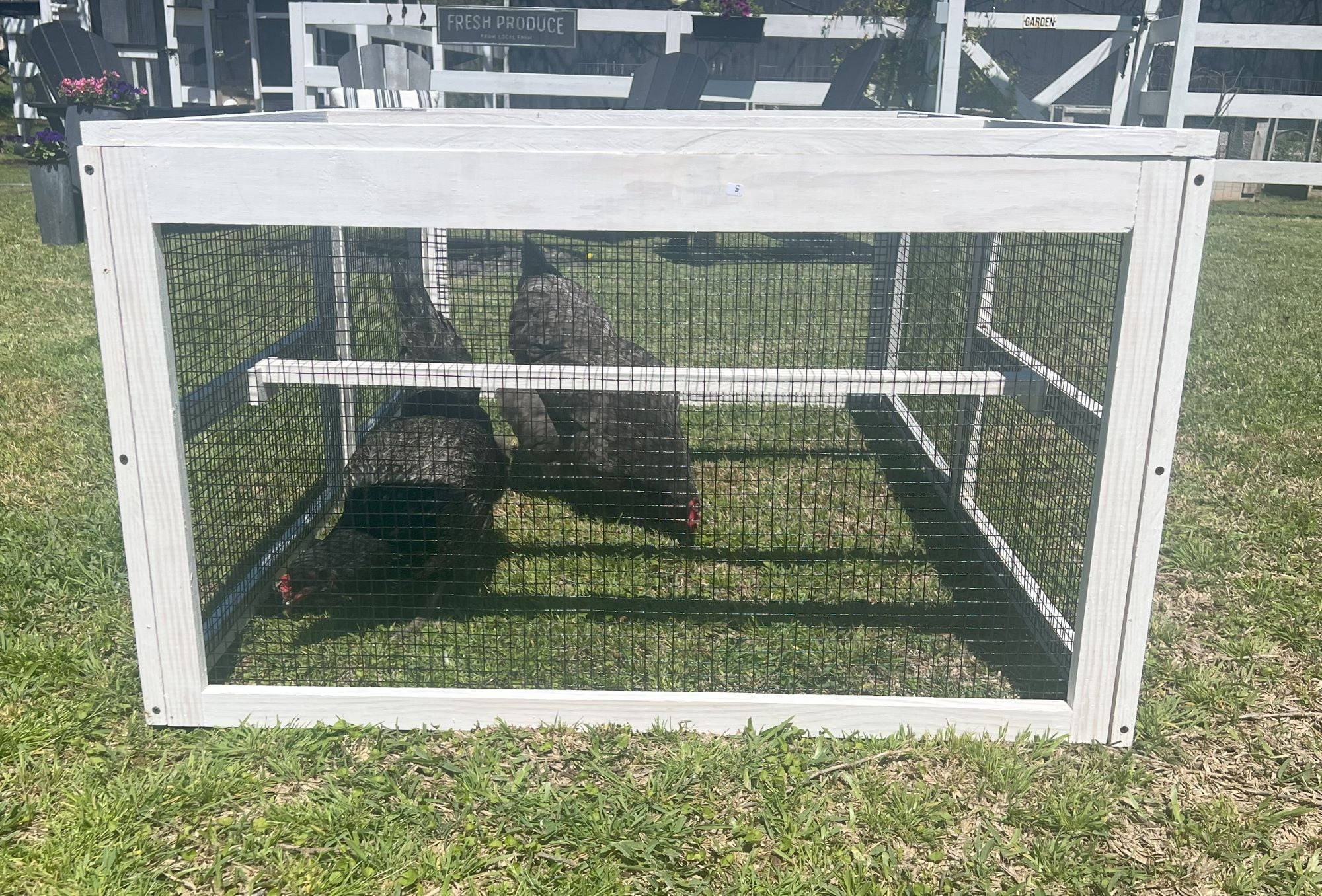 Hobby Homestead Extension Pen