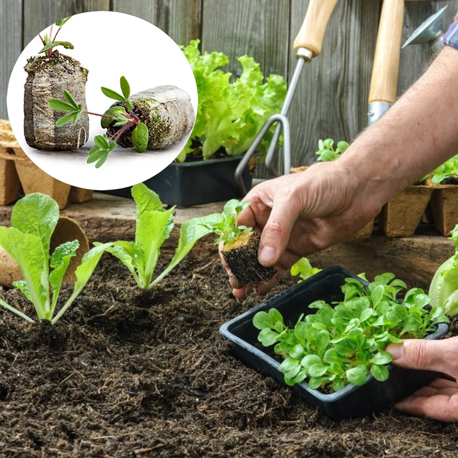 LLQkigsxse Garden Irrigation Hose Pellets Starting Plugs Pallet Seedling So il Block Easy to Operate Mens Birthday Gift Ideas