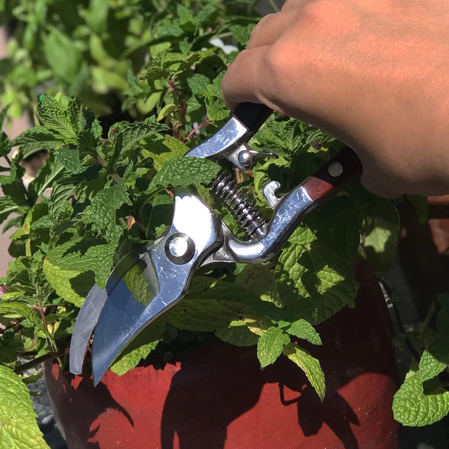 tradition meets modernity - thai kitchen u0026 garden shears