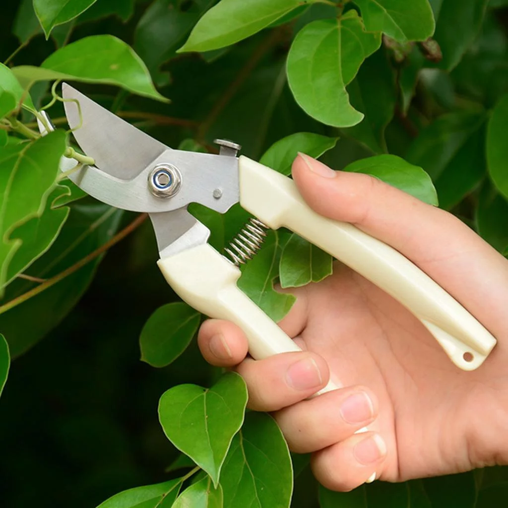 kesoto 2xGarden Pruning Shears Pruners Plant Cutter Hand Tools , Beige, 2 Pcs