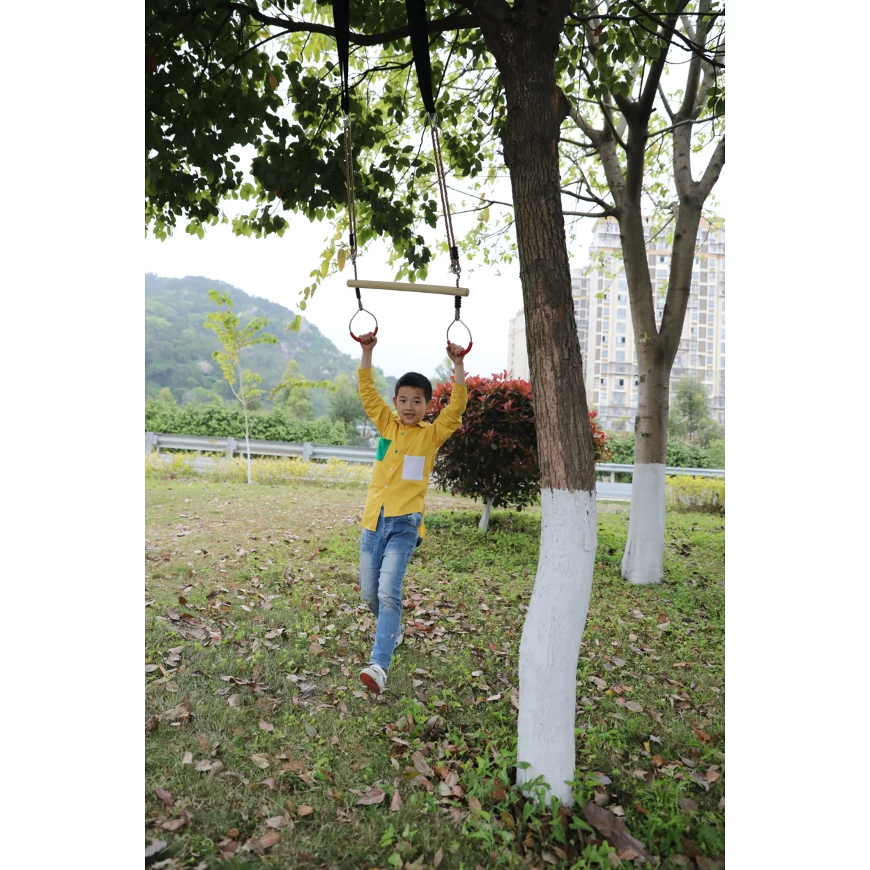Wooden Swings with 4 Included Ropes, Tree Swing, Swing Bar, Climbing Rope Ladder and Swing Seat