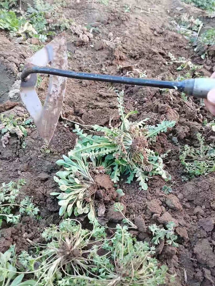 Steel Weeding Shovel Farm Tool Handheld Hollow Hoe Agriculture Rake Tool