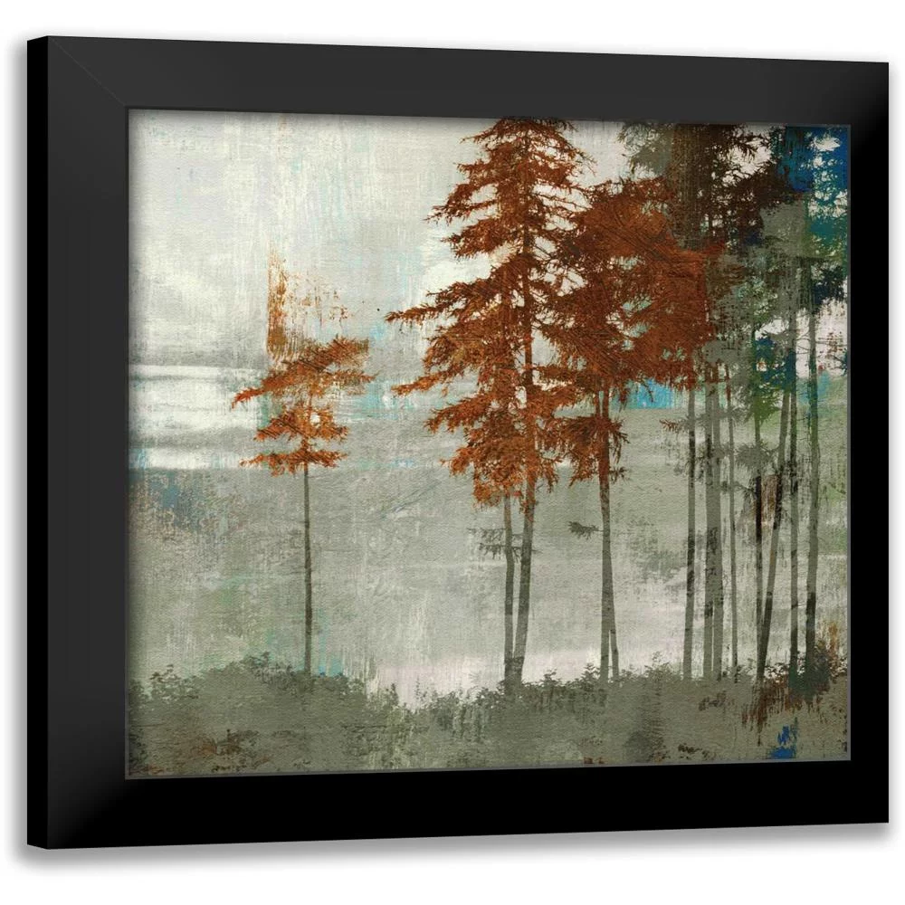 PI Studio 12x12 Black Modern Framed Museum Art Print Titled - Spruce Woods II