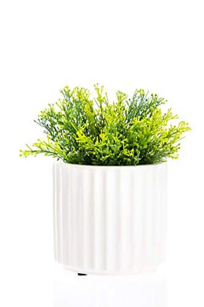 Paisley Ceramic Pot (3.5