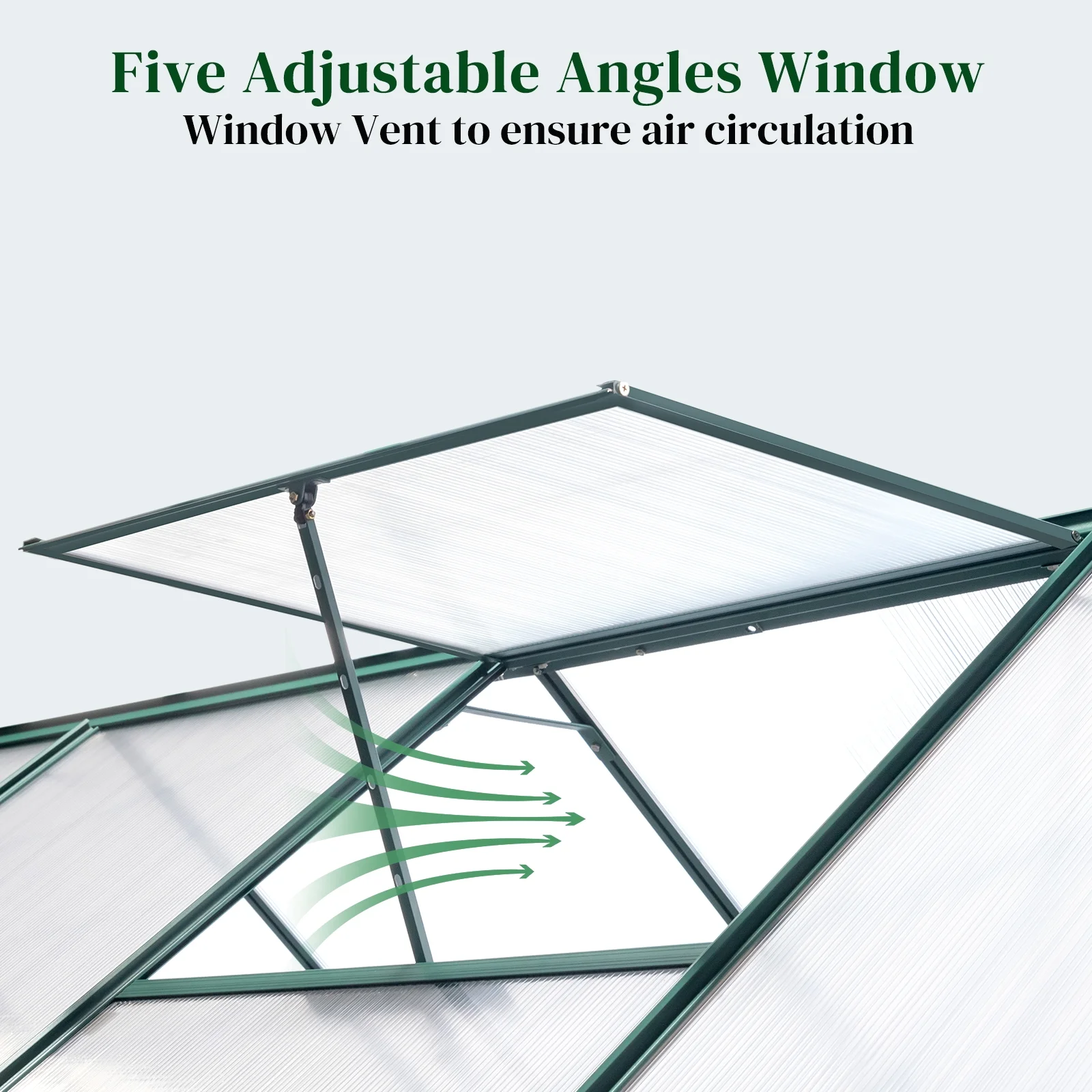 6x8 Hybrid Polycarbonate Greenhouse Green