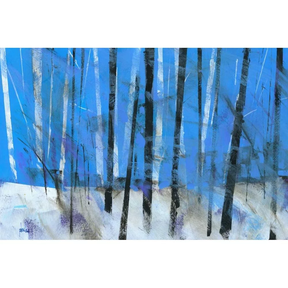 Bailey, Paul 24x17 Black Modern Framed Museum Art Print Titled - Birch and Black Ash Saplings
