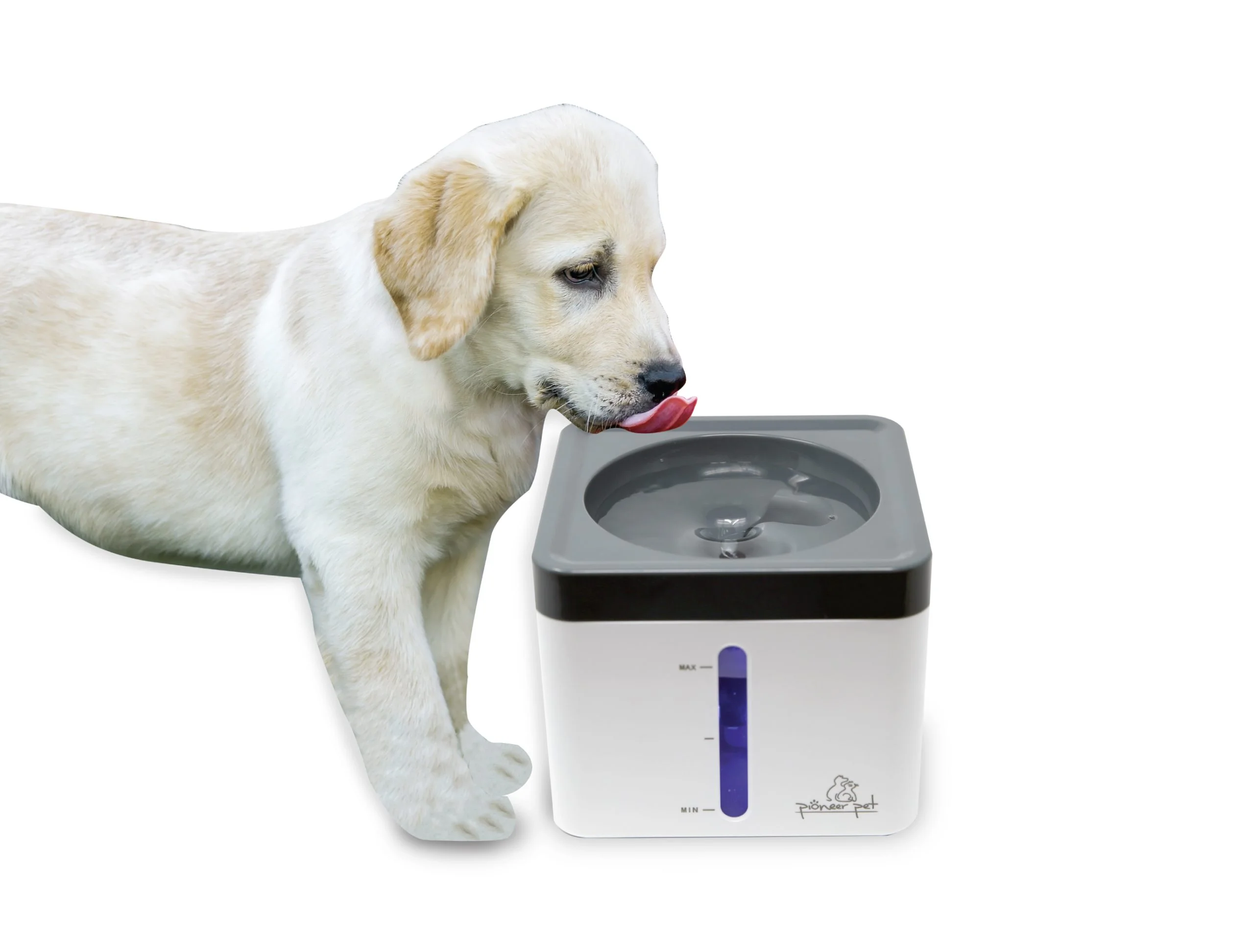 Mini Vortex Pet Drinking Fountain 80oz Capacity