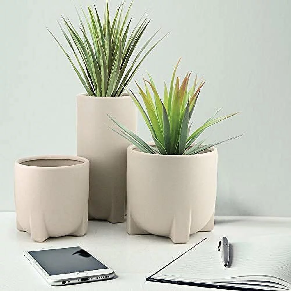 Dylan Ceramic Pot for Plant | Cute Ceramic Planter (5