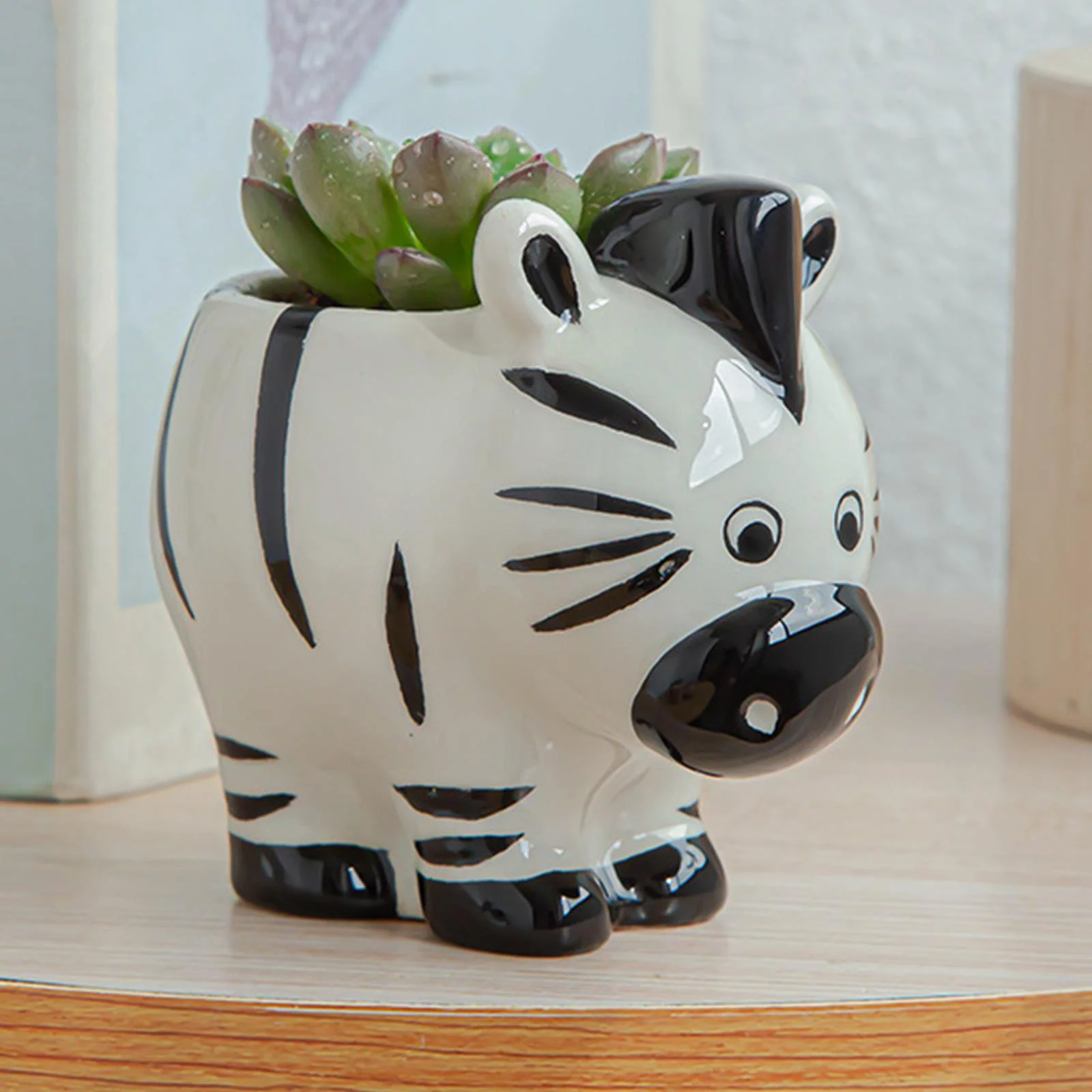 figatia 5-6pack Cartoon Plant Succulent Planter Desk Flower Pot Zebra 6 Pcs
