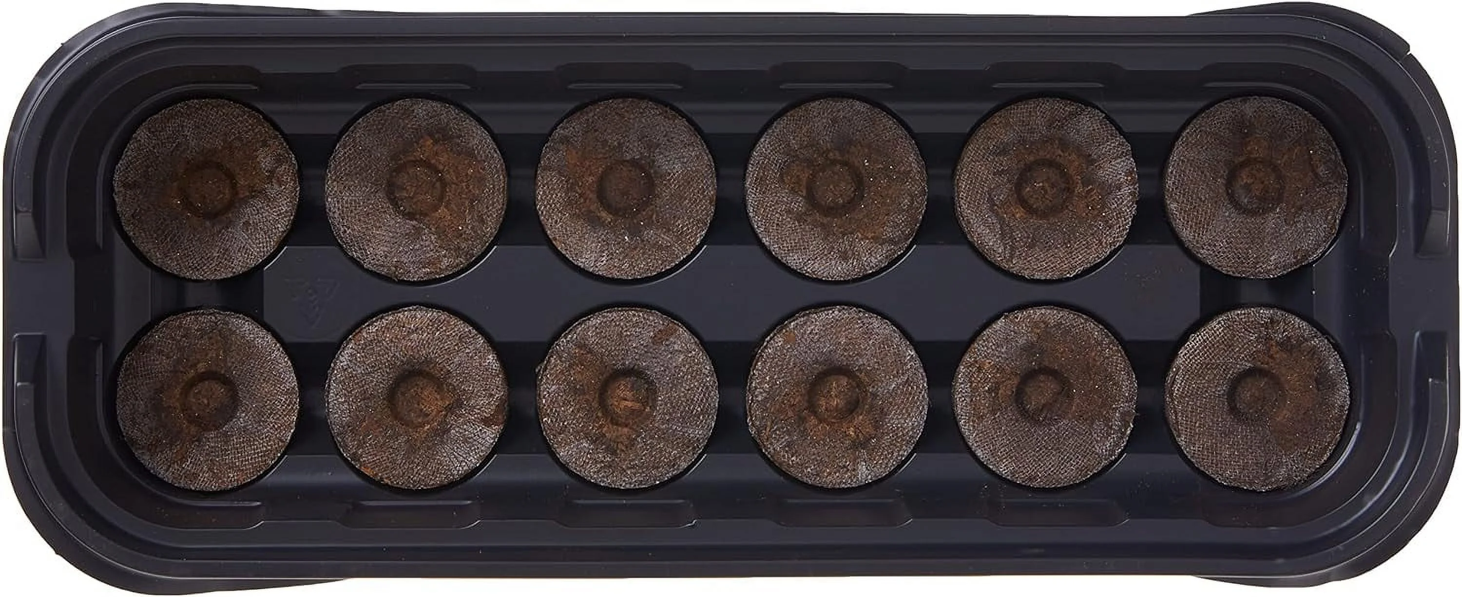 100055694 J312 12Pel Wndwsll Greenhouse, Mini, Black With Clear Dome