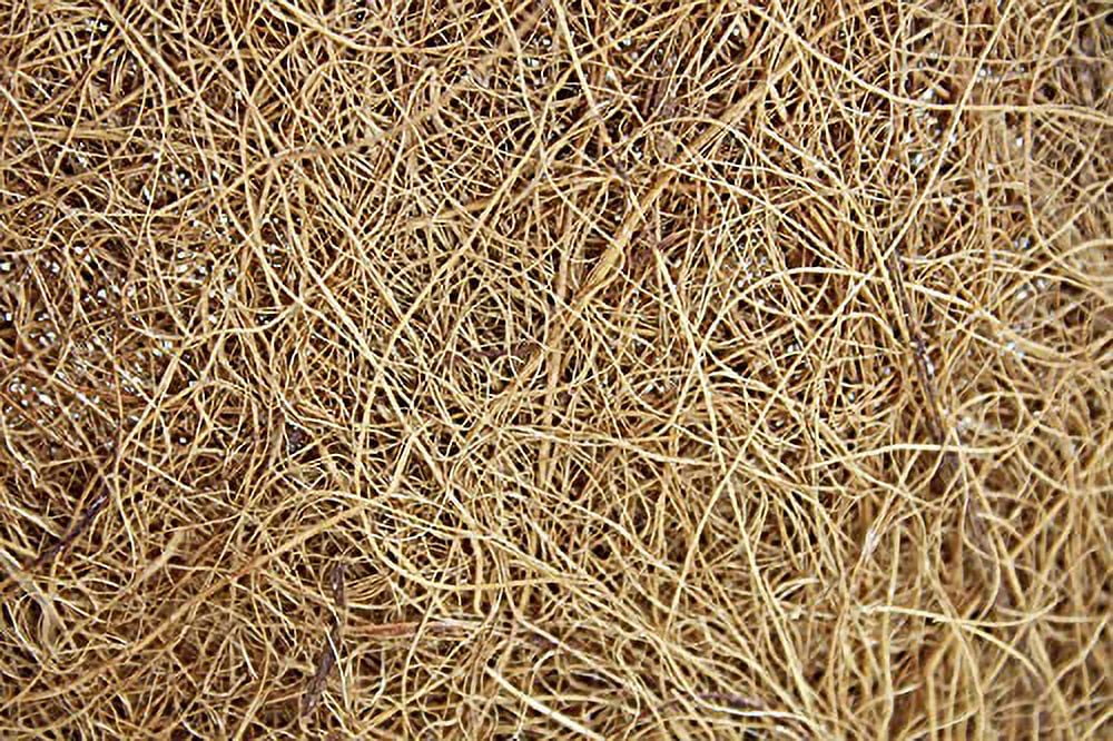 Pride Garden Products 5116PB Grower Hanging Baskets With Liner, 16”