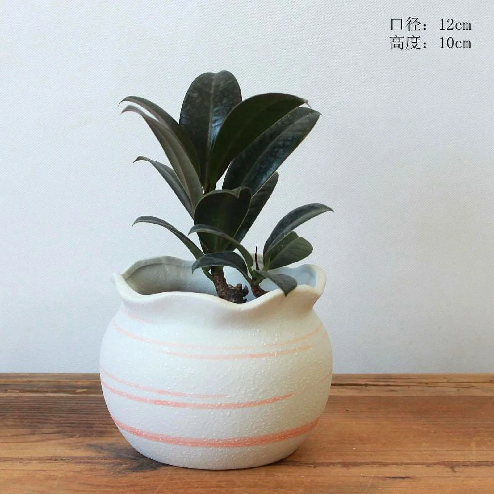 Ceramic Succulent Planter with Snowflake Glaze - Desktop Greenery Pot