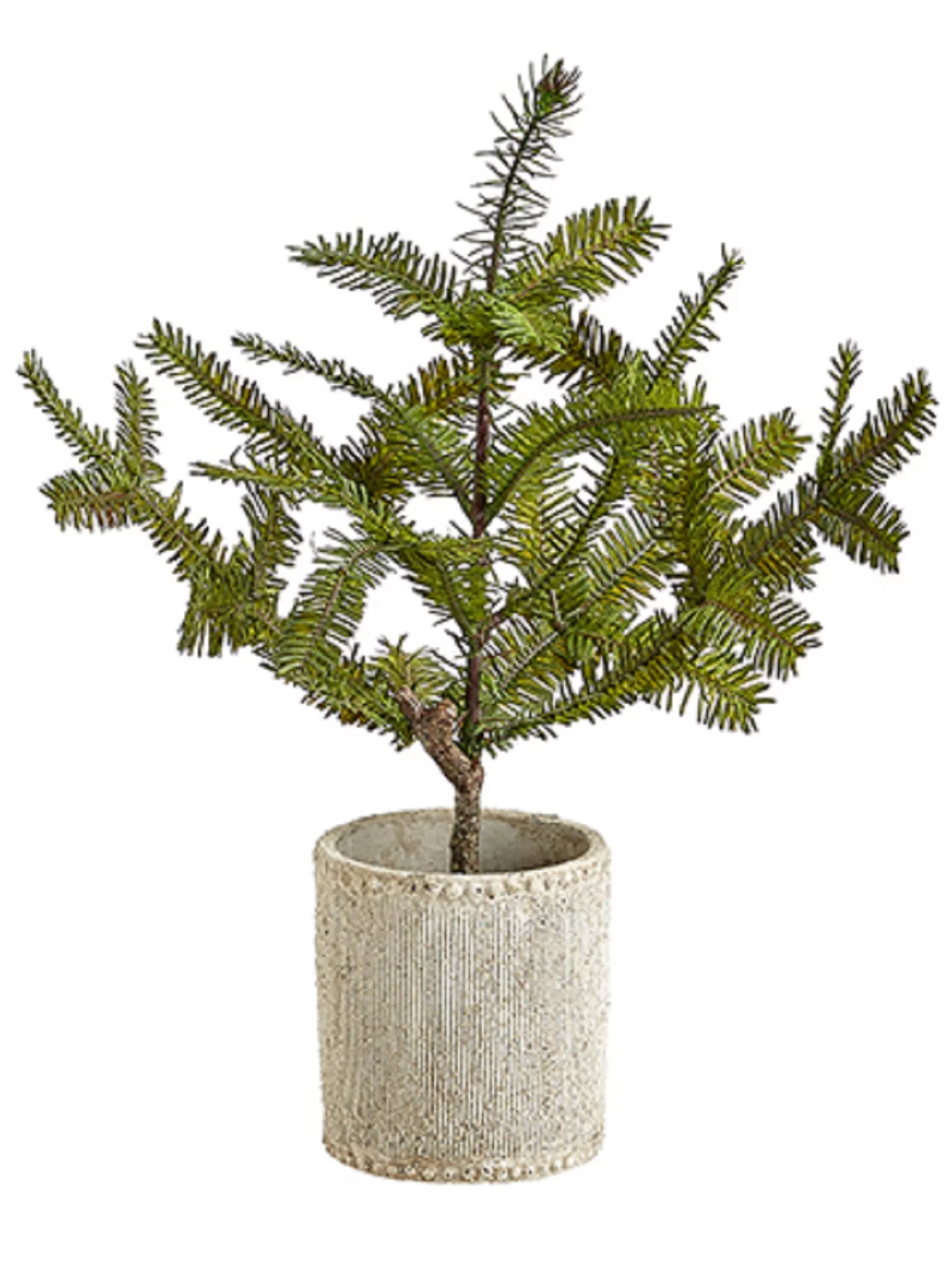 16'' Pine Tree in Cement Planter
