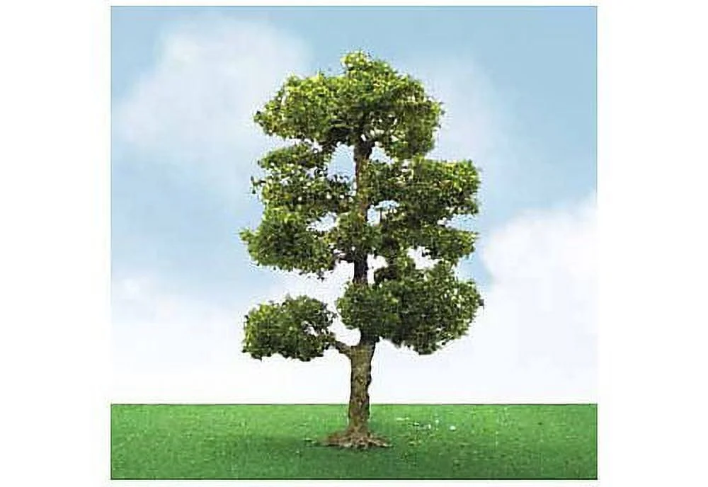 Proelite Tree, Downy Birch 354 (2)