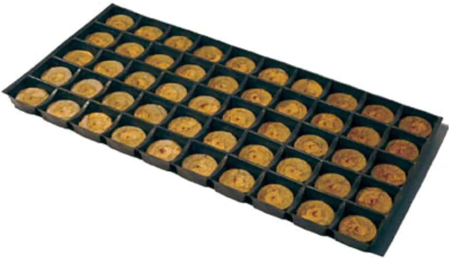 Jiffy Regular Seed Starting Pellet (35)