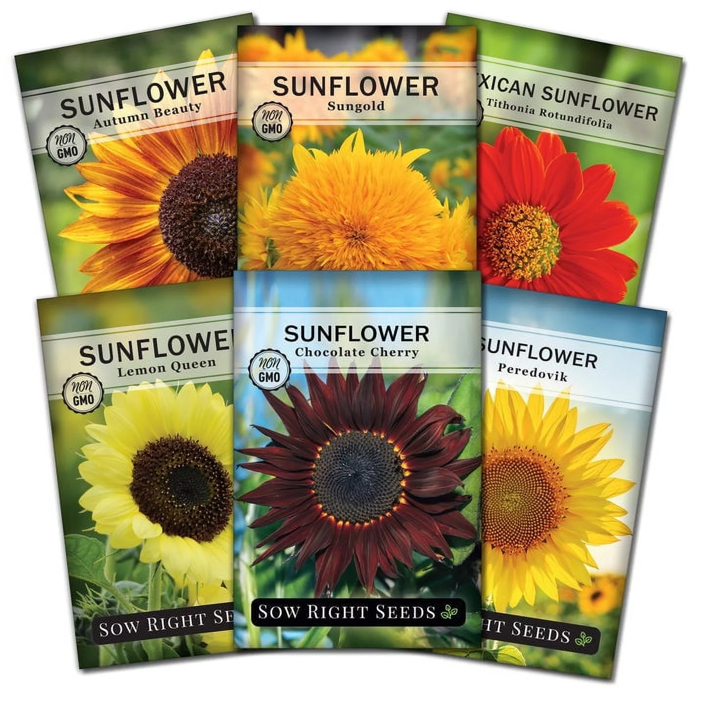 Large Sunflower Seed Collection - Non GMO Heirloom Varieties for your Flower Garden - 6 Count
