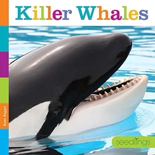 Pre-Owned Seedlings: Killer Whales Paperback