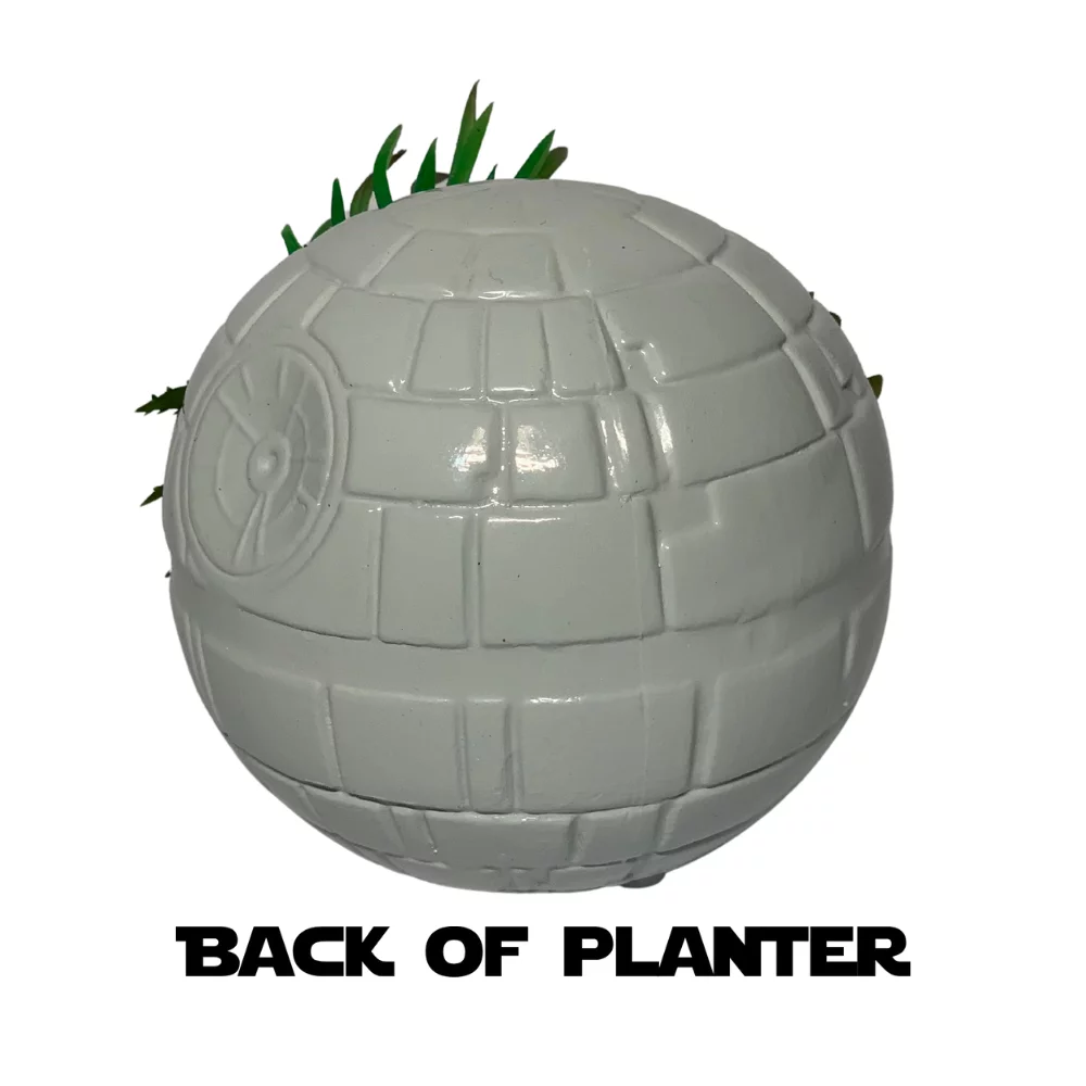 Star Wars Ceramic Planter with Faux Succulent Houseplant 4 inches