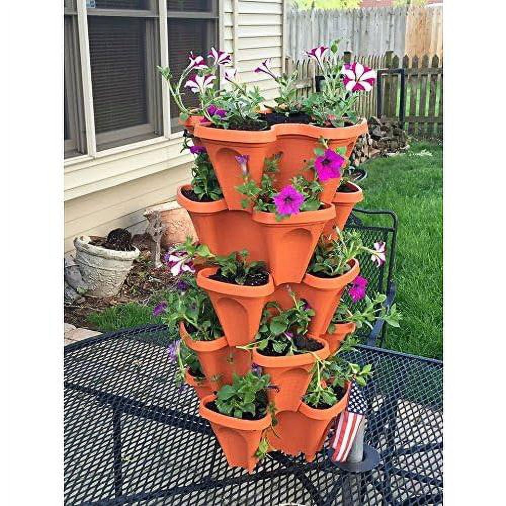 Planter, Terra Cotta